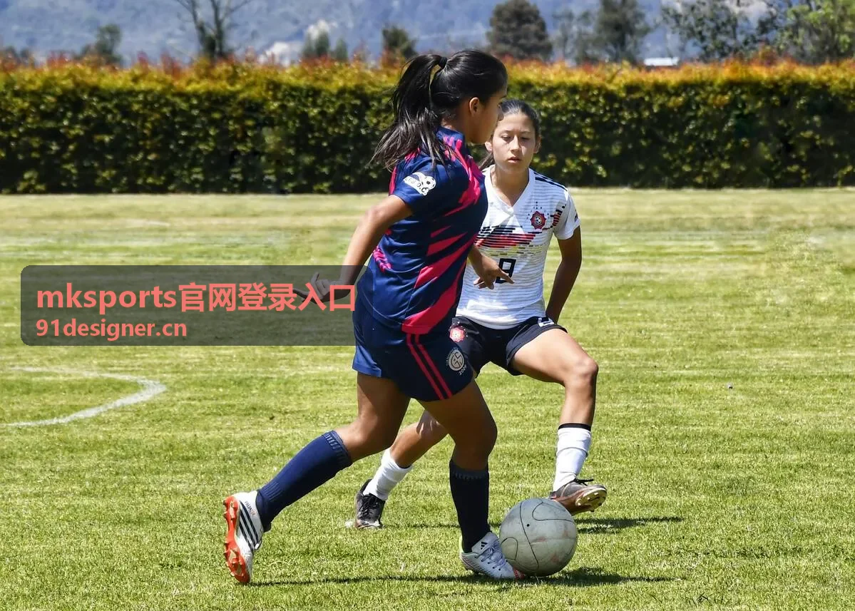 mksports官网登录入口 篮球赛事推荐